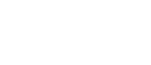 Logo 13