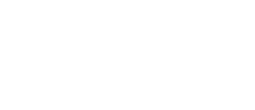Logo 9