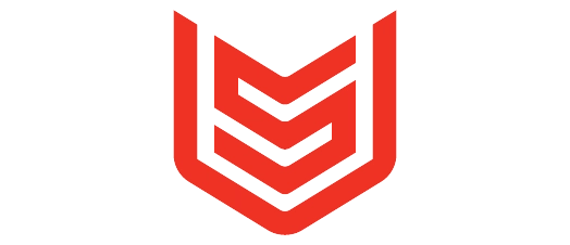 Logo 1